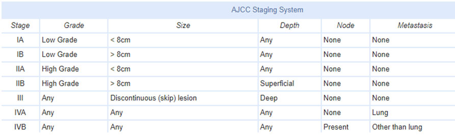 ajcc staging system