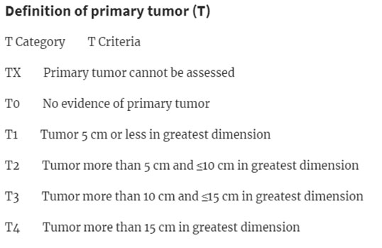 definition of primary tumor